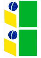 bandeira montagem.pdf